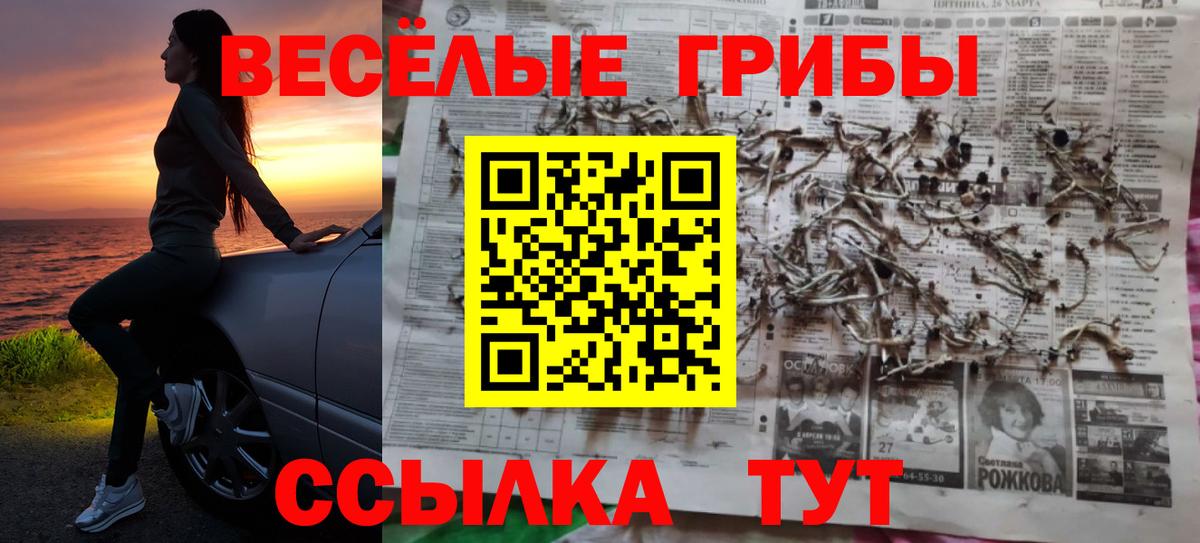 Псилоцибиновые грибы мухоморы  Псилоцибиновые грибы Psilocybe  Сорочинск  Вход с VPN 