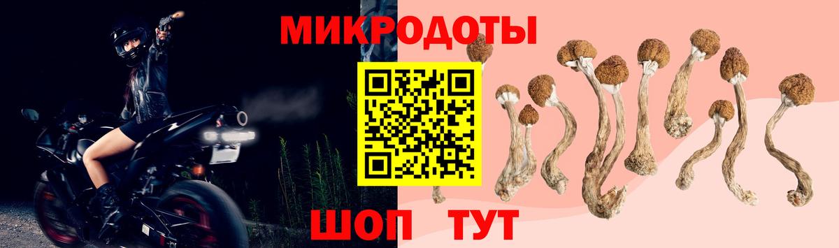Галлюциногенные грибы мицелий Сорочинск